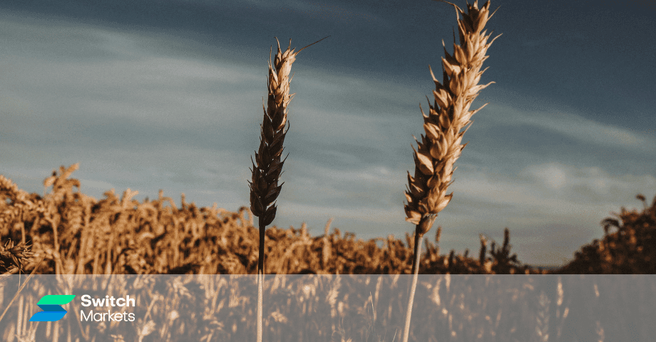 What is Seasonality in Commodity Trading, And How Can You Use This Strategy