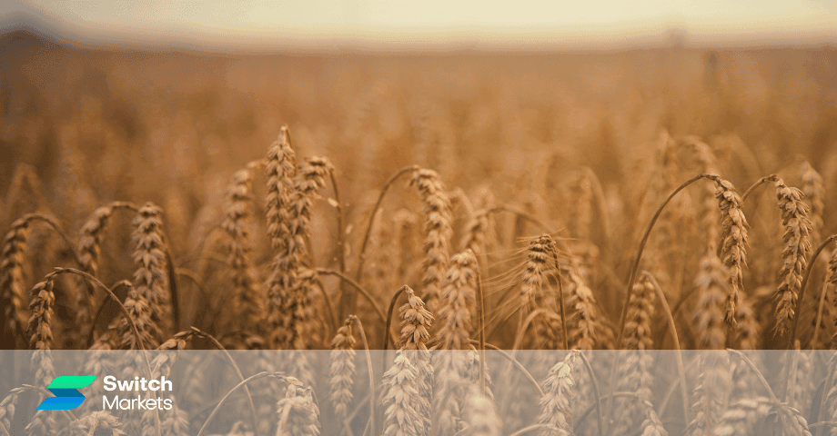 How to Trade Soft Commodities - A Comprehensive Guide