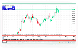 MetaTrader 5 Execution
