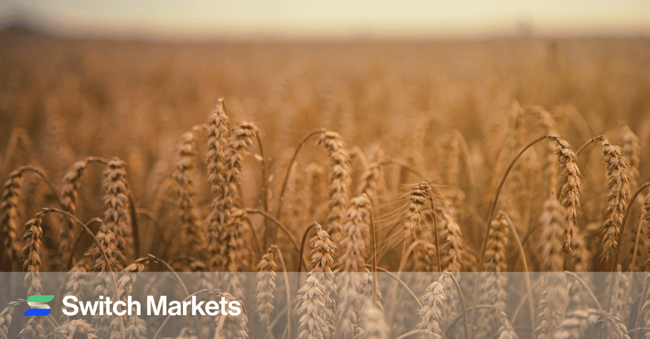 How to Trade Soft Commodities - A Comprehensive Guide